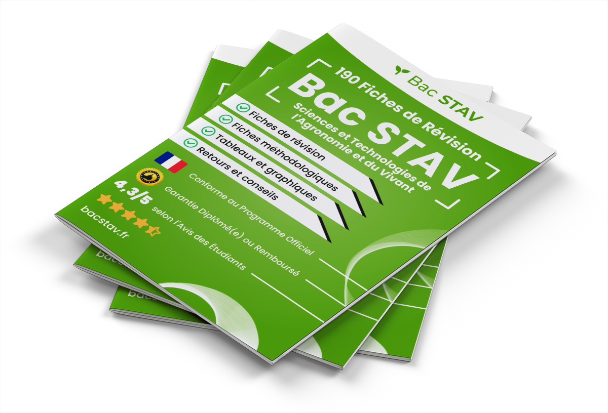 190 Fiches de Révision pour le Bac STAV